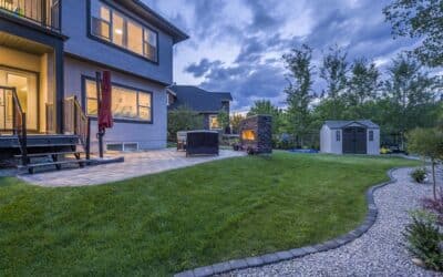 Tips For Having the Best Lawn this Summer