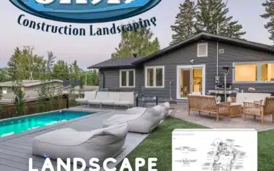 Oasis Landscaping and Their Commitment to Quality Landscape Design