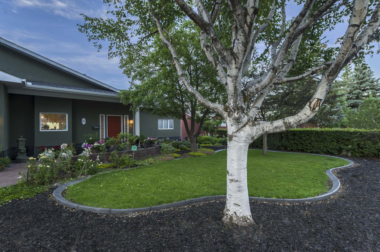 Front | Oasis Landscaping
