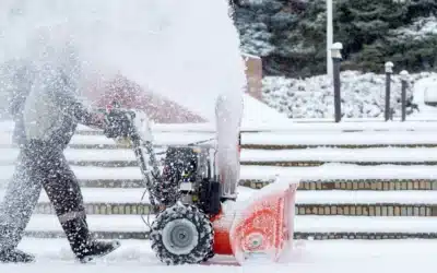 Irrigation Winterization Services