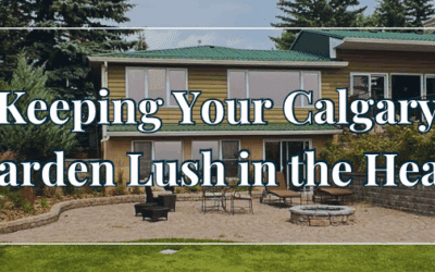 Summer Landscaping Tips: Keeping Your Calgary Garden Lush in the Heat
