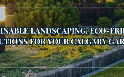 Eco-Friendly Landscaping: Sustainable Practices for Your Calgary Garden